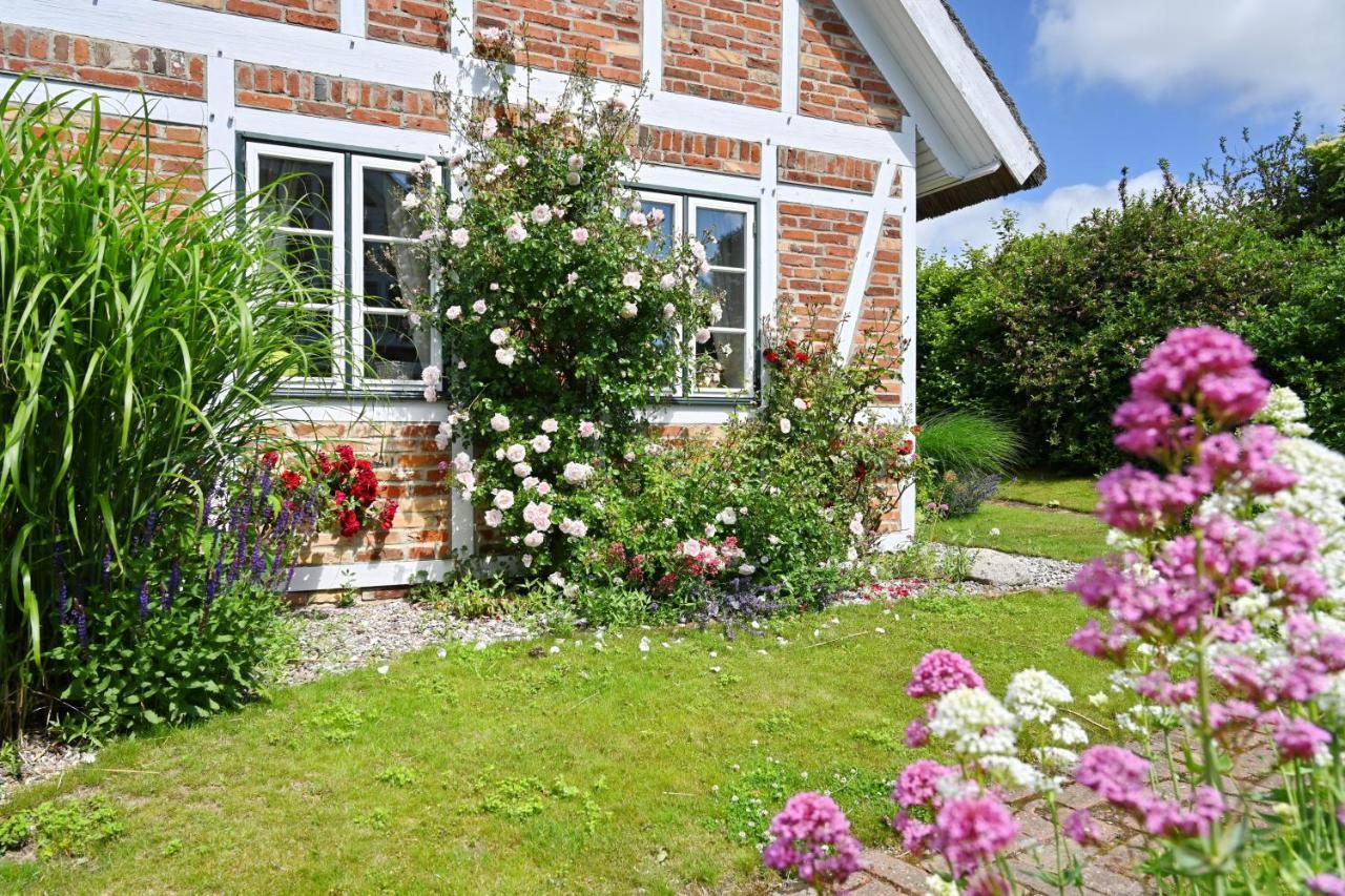 Landhaus Vilmnitz - Wohnung 10 Exterior foto